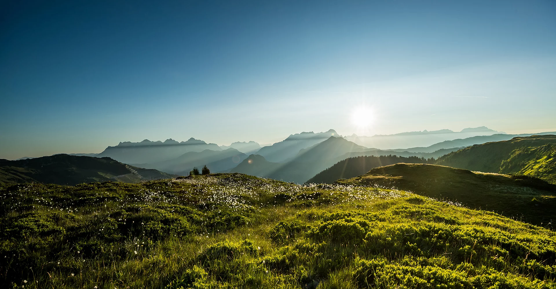 Green landscape in Saalbach Hinterglemm