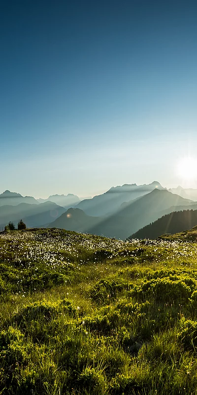 Grüne Landschaft in Saalbach Hinterglemm