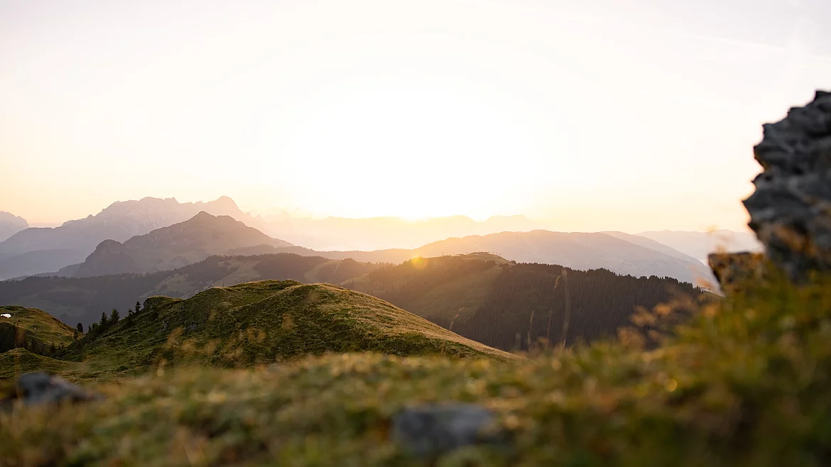 Grüne Landschaft in Saalbach Hinterglemm