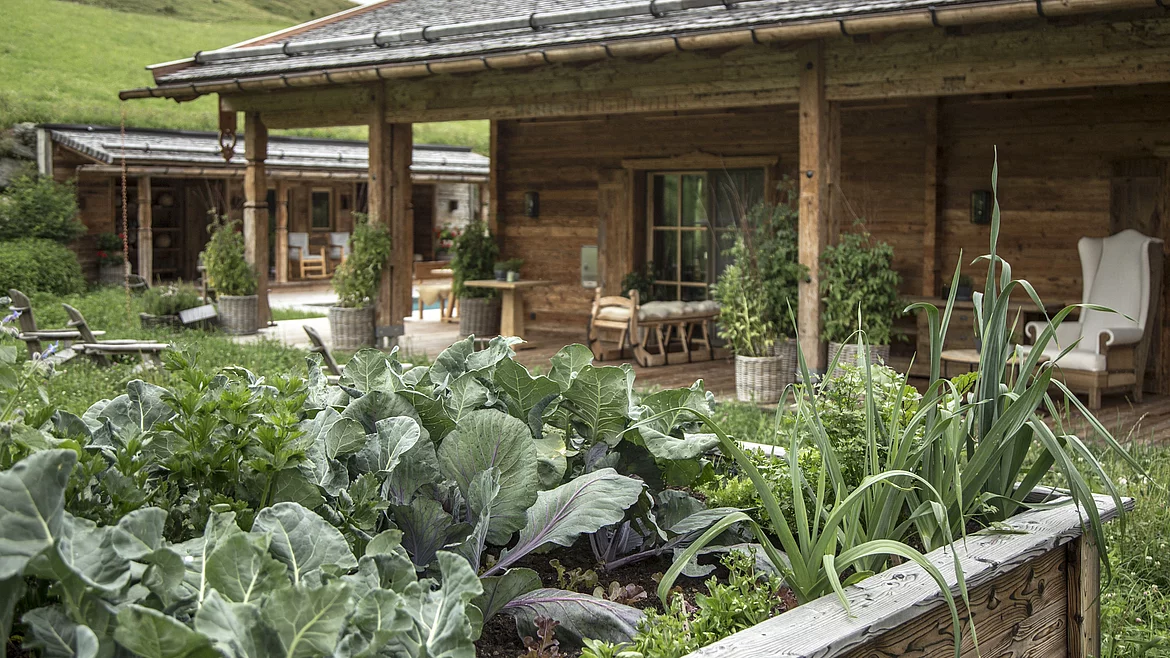 A raised bed in the Schmiedalm garden